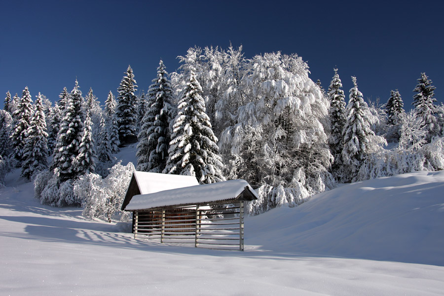 Zima na Koprivniku I.
Danes pa nekaj posnetkov zime na Koprivniku. 
Ključne besede: koprivnik bohinj