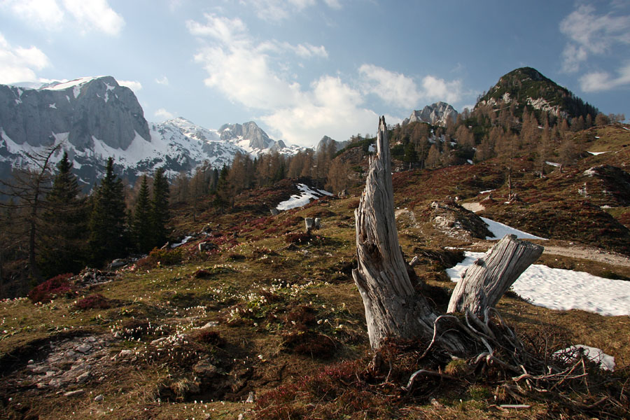Pomlad na Krstenici IV.
Pogled proti vrhu Ogradov, Vrhu Hribaric in Škednjovcu.
Ključne besede: planina krstenica ogradi vrh hribaric škednjovec jezerski krsteniški stog