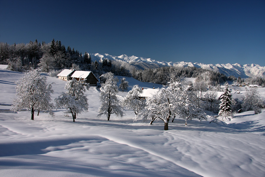 Zima na Koprivniku IV.
Pogled nazaj proti vasi.
Keywords: koprivnik bohinj