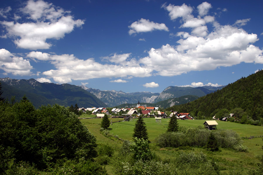 Nemški Rovt
Vasica Nemški Rovt v Bohinju.
Ključne besede: nemški rovt bohinj