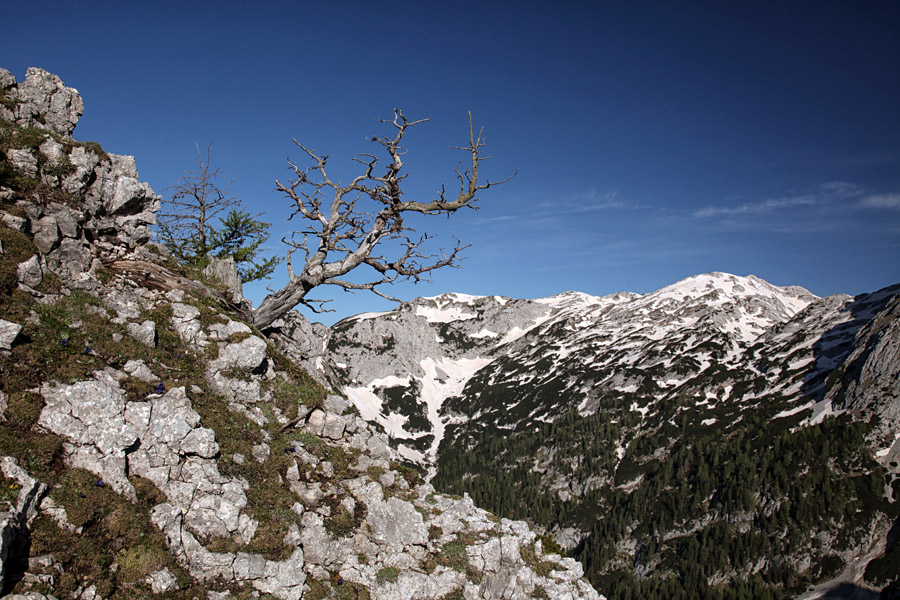 Pogled na Vogle
Viharnik s pogledom na Vogle.
Ključne besede: ogradi vogli