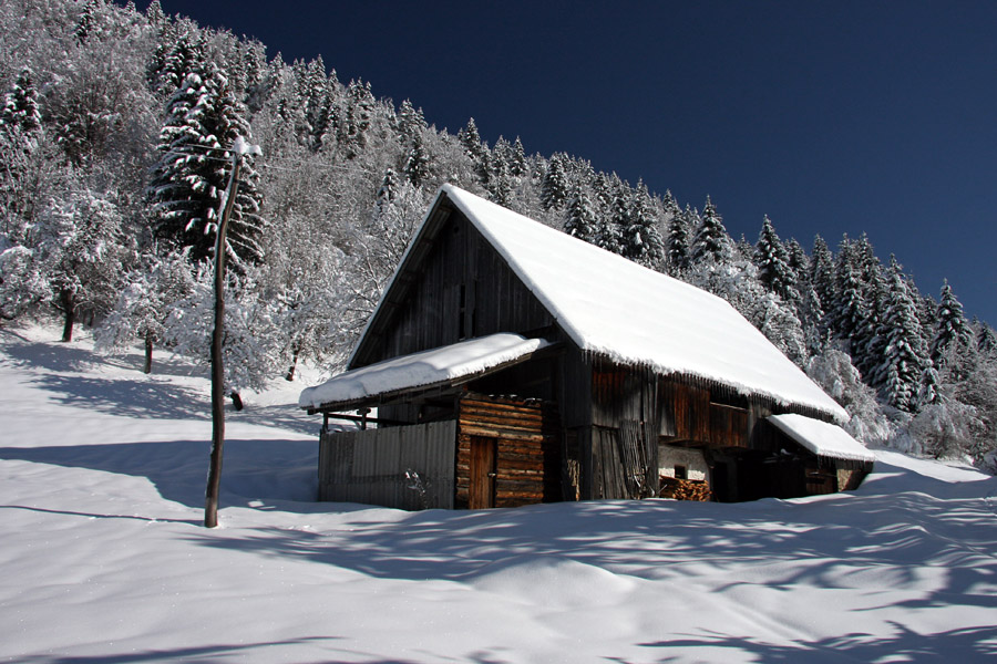 Zima na Koprivniku XII.
Na Koprivniku.
Ključne besede: koprivnik bohinj