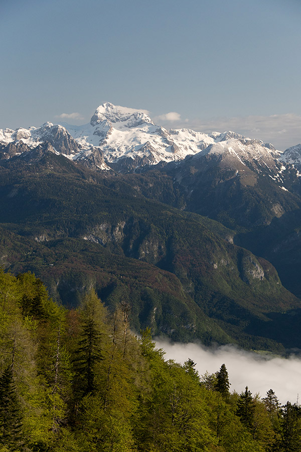 S poti na planino Poljana
Preko bohinjskih meglic proti Triglavu.S poti na planino Poljana.
Ključne besede: planina poljana bohinj triglav