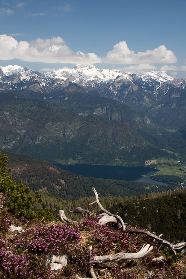 Izpod Malega Raskovca
Po severnin strminah sva prispela na razgledno grebensko lovsko pot, ki vodi na Mali Raskovec. Spet razgled na Bohinjsko jezero in Triglavsko pogorje.
Ključne besede: mali raskovec bohinjsko jezero triglavsko pogorje
