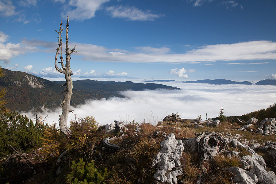 Krstenica
Krstenica in megla nad Bohinjem.
Keywords: planina krstenica