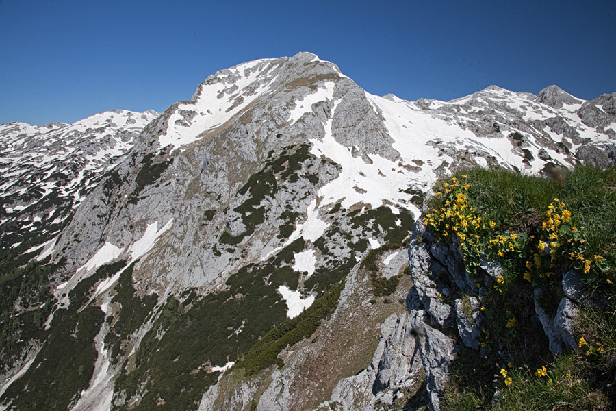 Debeli vrh
Debeli vrh z Ogradov.
Ključne besede: debeli vrh ogradi