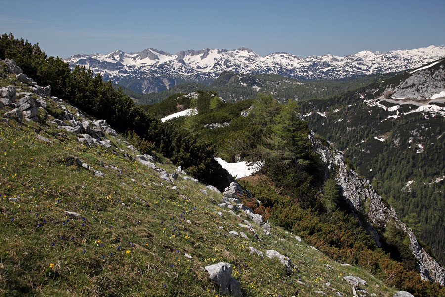 Z Ogradov
Še en razgled na južne bohinjske gore.
Ključne besede: ogradi južne bohinjske gore