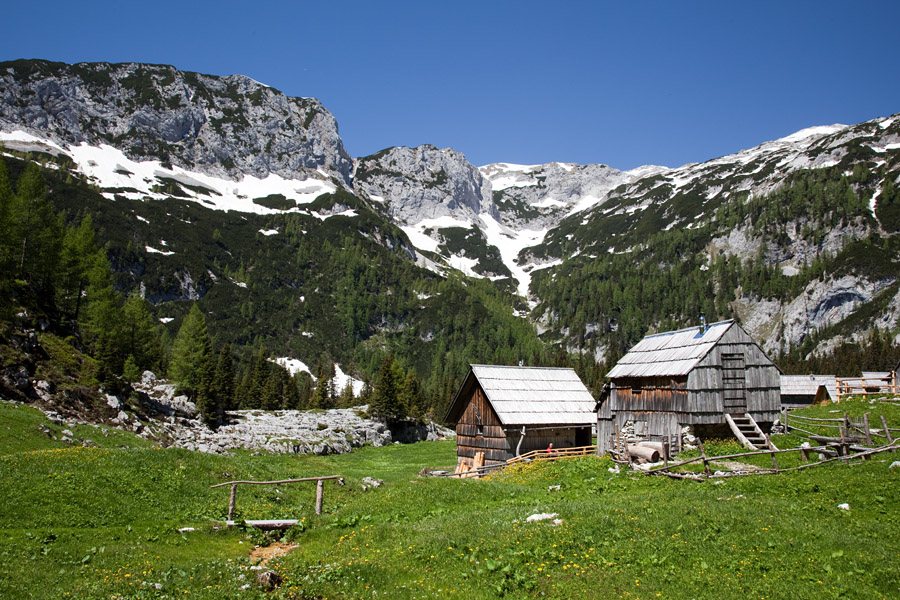 V Lazu
Po vrnitvi z Ogradov sva obiskala še planino Laz.
Ključne besede: planina laz