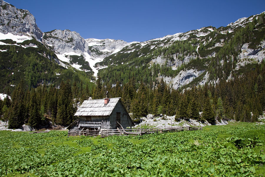 Planina Laz
Planina v Lazu.
Ključne besede: planina laz