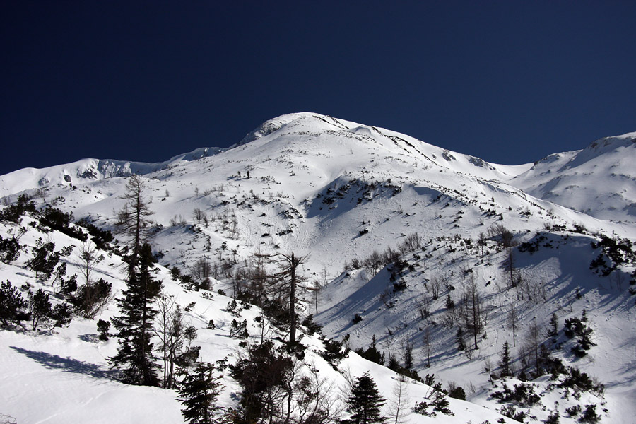 Poljanski vrh
Današnji cilj - Poljanski vrh pred planino Poljana.
Ključne besede: planina poljana poljanski vrh