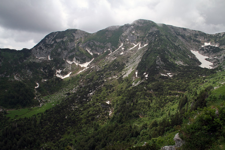 Črna prst
Črna prst z Lisca.
Ključne besede: črna prst lisec