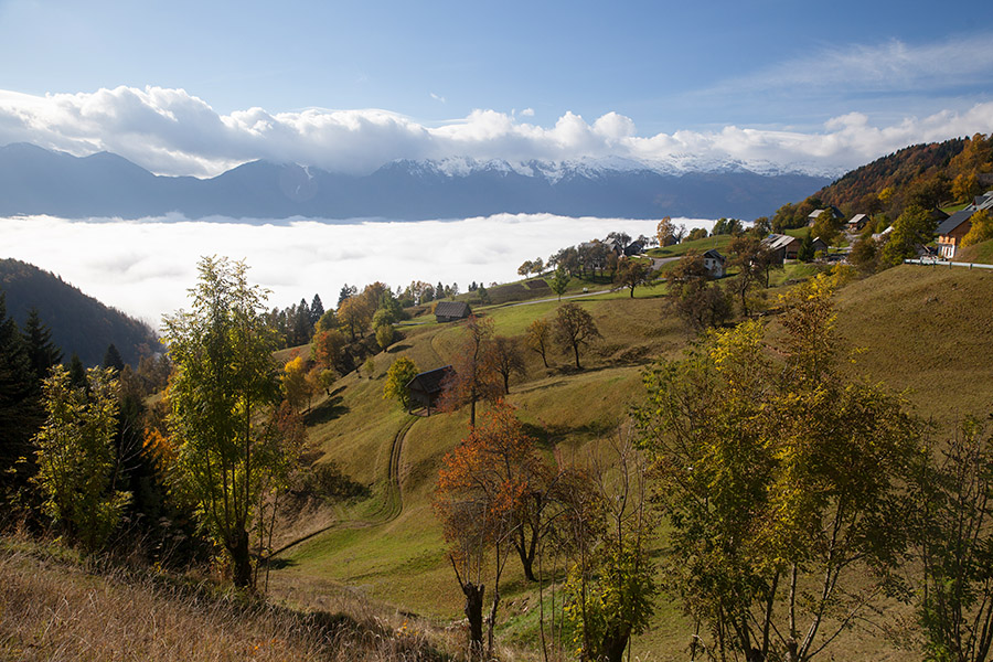Zgornje Podjelje
Zgornje Podjelje.
Ključne besede: zgornje podjelje bohinj