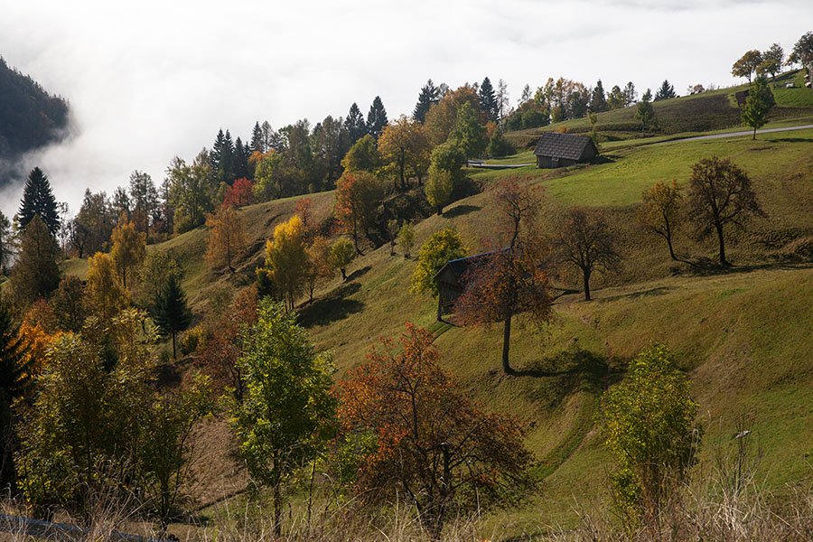 Podjelje
Jesen in megle. Podjelje.
Ključne besede: podjelje bohinj