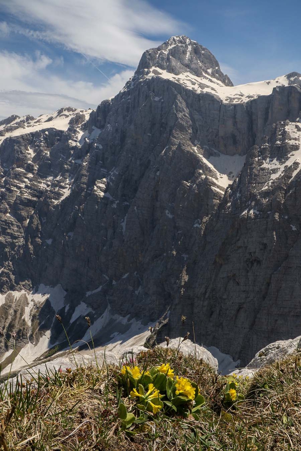 Triglav
Triglav s poti na Bovški Gamsovec
Ključne besede: triglav triglavska severna stena bovški gamsovec