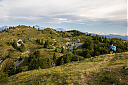 AL7A8329_34.jpg