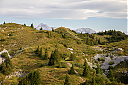 AL7A8330_34.jpg