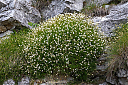 AL7A8345_34.jpg