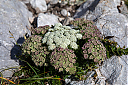 AL7A8360_34.jpg