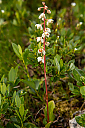 AL7A8455_34jpg.jpg