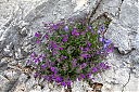 AL7A8639_34.jpg