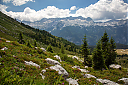 AL7A8654_34.jpg