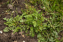 AL7A8908_34.jpg