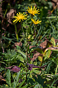 AL7A9038_34.jpg