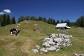IMG_1429_10.jpg