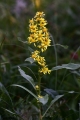 IMG_1754q~0.jpg
