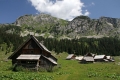IMG_1871_10.jpg