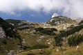 IMG_1926_8.jpg