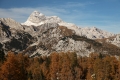 IMG_2143_8.jpg
