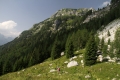 IMG_2164_10.jpg