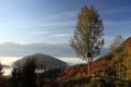 IMG_2500x.jpg