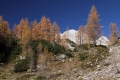 IMG_2507_8.jpg
