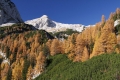 IMG_2544_8.jpg
