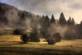 IMG_2619x.jpg