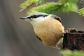 IMG_2766r.jpg