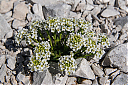 IMG_2836_34.jpg