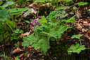 IMG_3036_34.jpg