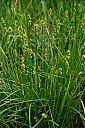 IMG_3081_34.jpg