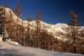 IMG_3087x.jpg