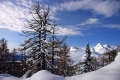 IMG_3147x.jpg