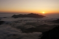 IMG_3387x.jpg