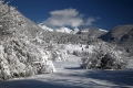 IMG_3590_12.jpg