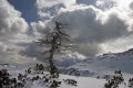 IMG_3594n.jpg
