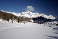 IMG_3795n.jpg