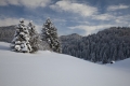 IMG_3835_8.jpg