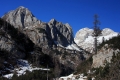 IMG_3872x.jpg