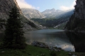 IMG_4183t.jpg